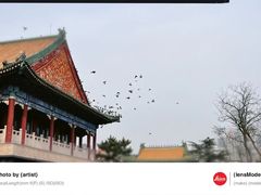 -湛山寺