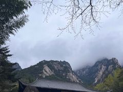 -黄山风景区