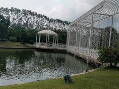 -迪茵湖田家舍生态农场