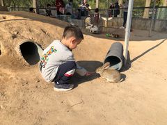 -前小桔亲子创意农场·草莓采摘·露营烧烤