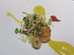 -蝶舍·MAISON PAPILLON