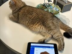 -争渡心理咨询全国连锁(福田店)