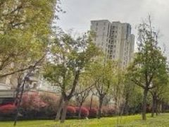 -仁恒西郊花园