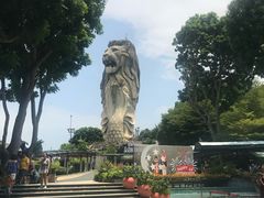 -圣淘沙天际线斜坡滑车