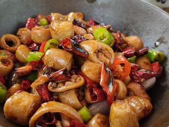 -老板恋上鱼(恒隆广场店)