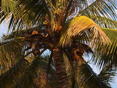 -三亚海棠湾万丽度假酒店