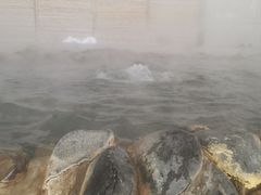 -春晖园度假酒店温泉