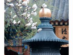 -罔极寺