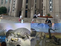 -国家自然博物馆