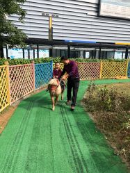 -萌宠亲子动物乐园(槐房万达店)