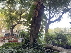 -秦园陕西手工面馆(番禺节能科技园店)