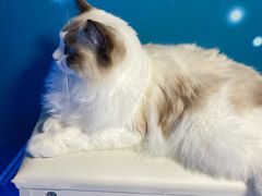 -零纪元VR体验馆·桌游(黄浦店)