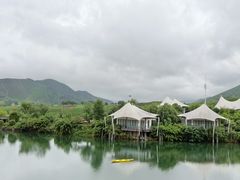 -帐篷客·溪龙茶谷度假酒店