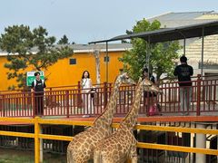 -西霞口神雕山野生动物世界