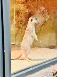 -酷嗒动物文化乐园(cutezoo西溪乐天城店)