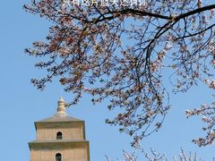 -大慈恩寺(大雁塔)