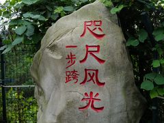 -河口景区