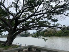 -江心屿景区