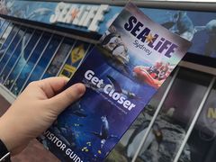 -悉尼海洋生物水族馆