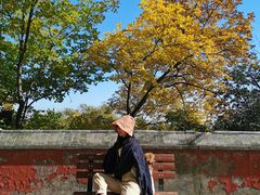 -阳台山自然风景区