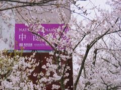 -龙美术馆西岸馆-停车场