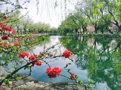 -颐和园