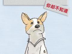 -翊宠yipet猫狗购宠庄园犬舍•猫舍