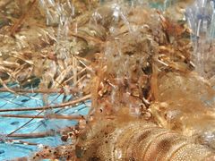 -阿伟海鲜楼·福建菜(延寿店)