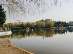 -团结湖公园