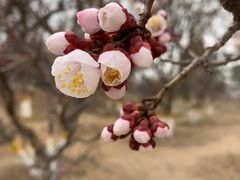 -鹫峰国家森林公园