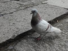 -阿育王寺