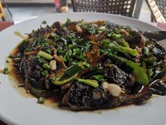 -生态苑农庄(十里画廊遇龙河店)