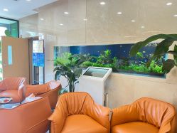 -臻悦医疗美容整形门诊部