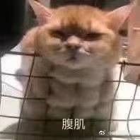-玫瑰红烤羊排(北新桥三条店)