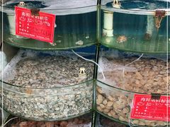 -北戴河庆山饭店·海鲜砂锅粥(北戴河黑石路店)