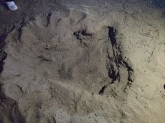 -秋水广场音乐喷泉