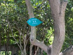 -扬州市茱萸湾风景区