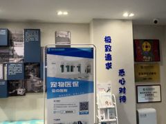 -伟伟宠物医院·CT影像中心·瑞派犬猫综合性门诊(汉口总院)