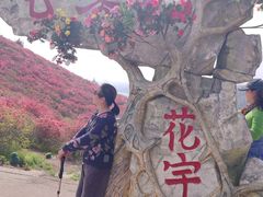 -木兰云雾山
