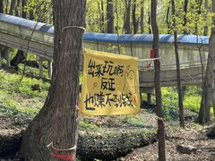 -帽儿山风景区