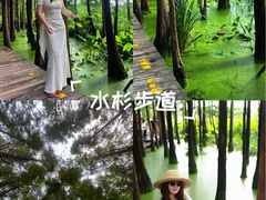 -云龙湖旅游景区