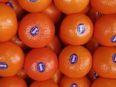 -南京众彩农副产品配送有限公司