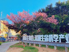 -瑞幸咖啡(生命科学产业园店)