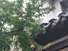 -巡塘古镇