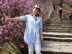 -天台山赤城山景区