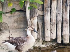 -盐城丹顶鹤湿地生态旅游区