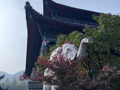 -九华山风景区