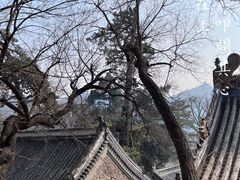 -潭柘寺景区
