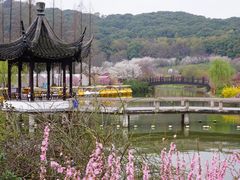 -苏州上方山国家森林公园