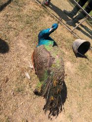 -萌宠亲子动物乐园(槐房万达店)